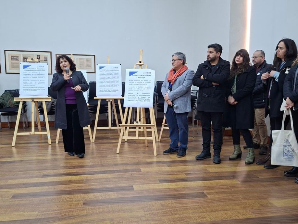 Maribel Mora Curriao, subdirectora de Equidad e Inclusión.