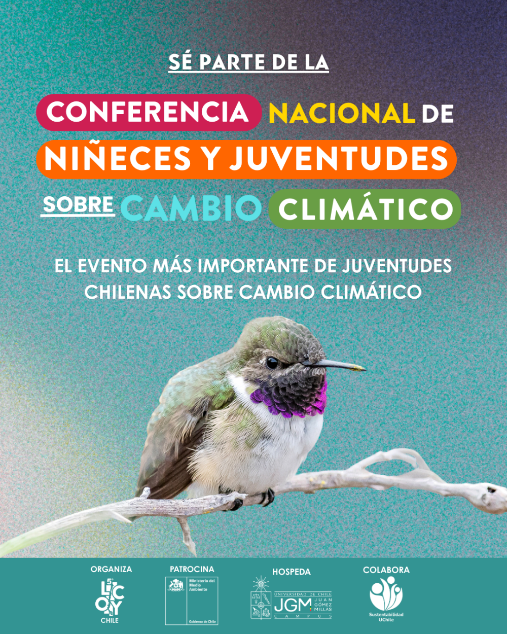 Durante tres días podrás aprender, debatir e inspirarte junto a niñeces y juventudes de todo Chile, cerrando la Declaración Nacional 2025 y dando inicio al Camino de Incidencia juvenil 2026