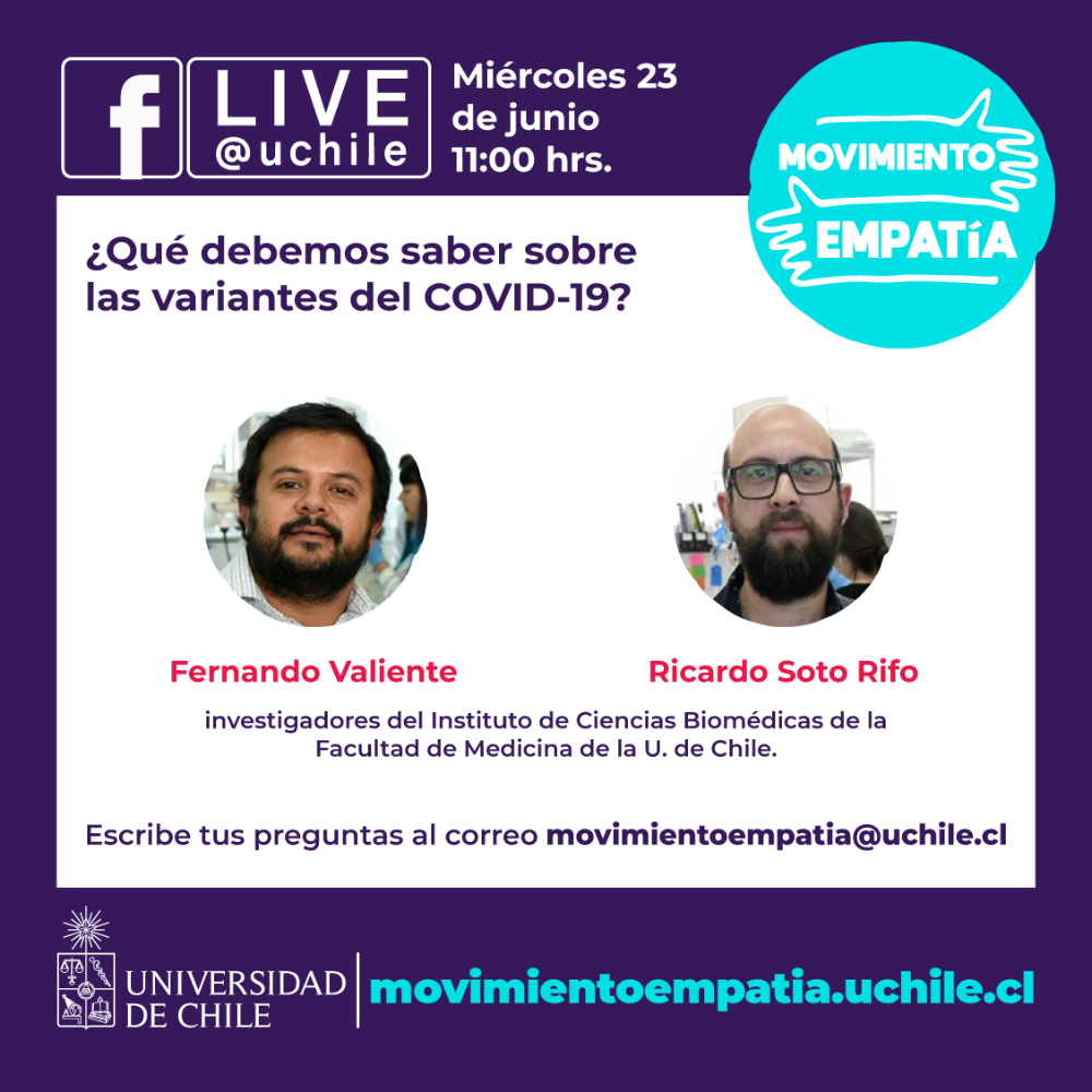 Salas de conversacion.