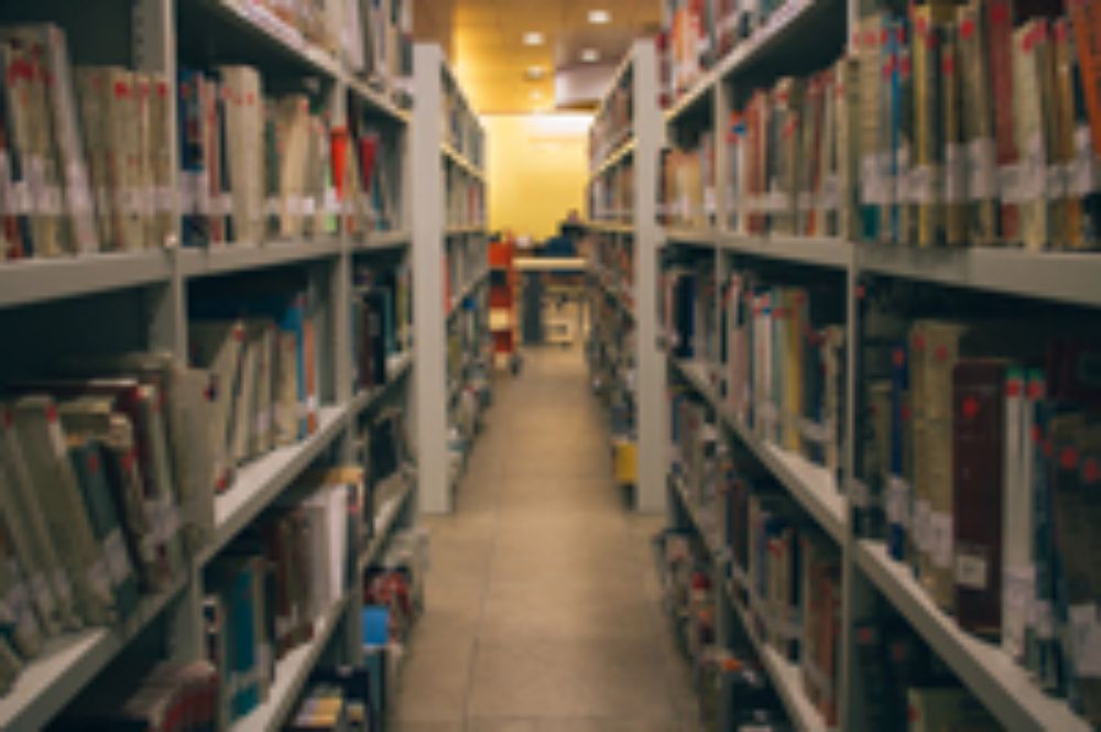 El proyecto busca fortalecer líneas ya activas, e impulsar nuevas líneas de trabajo.