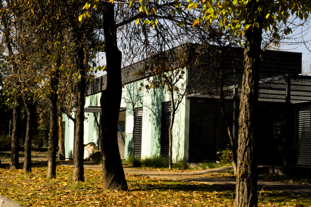 Centro Enseñanza Aprendizaje Campus Sur, Universidad de Chile