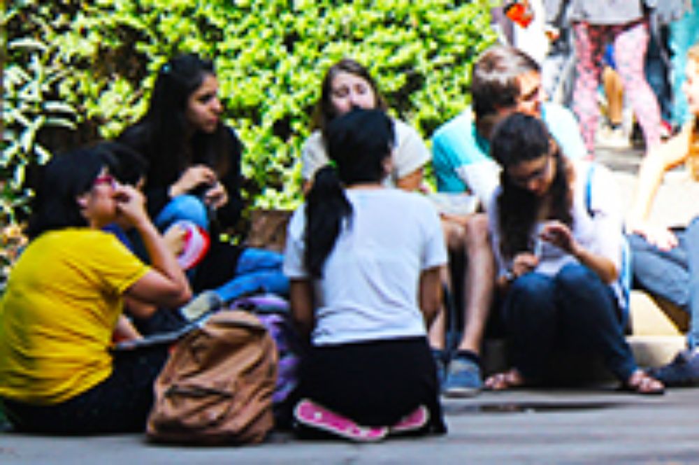 Acreditación Primer Año