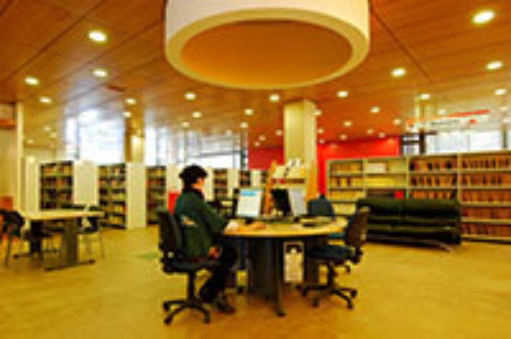 Ciencias Sociales, internacionalización, doctorado, investigación