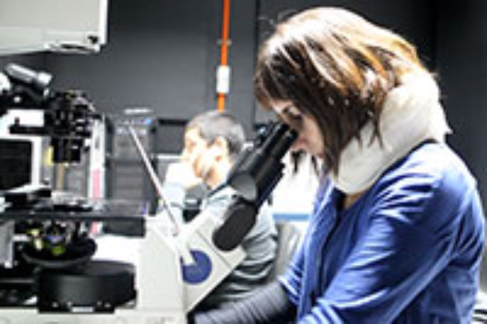 Internacionalización, doctorado, investigación