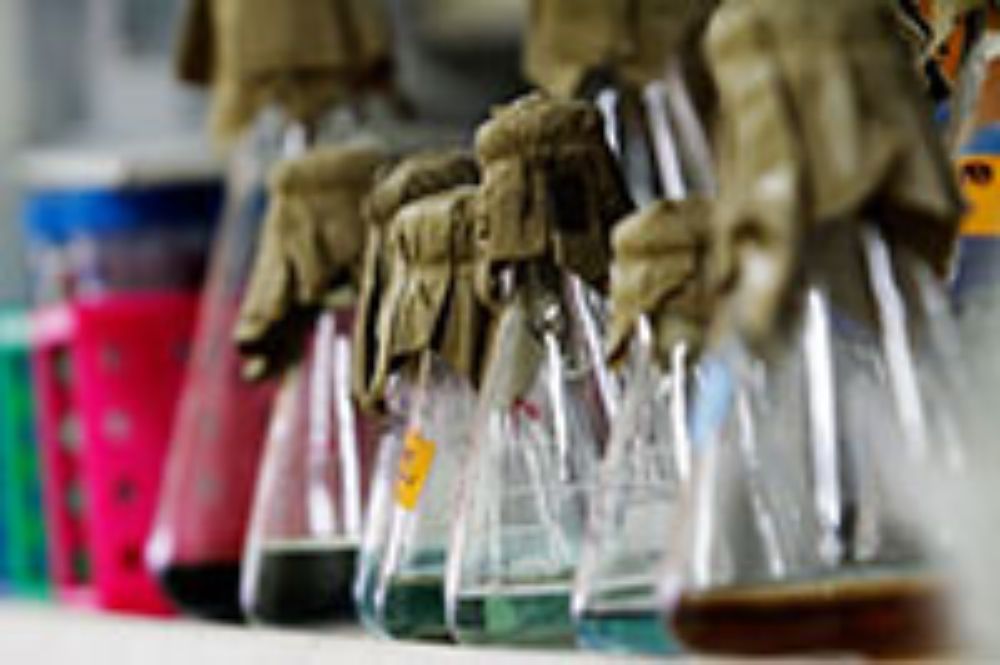 Química, Farmacia, internacional, doctorado, investigación