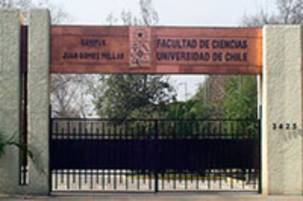 Ciencias, internacionalización, doctorado, investigación