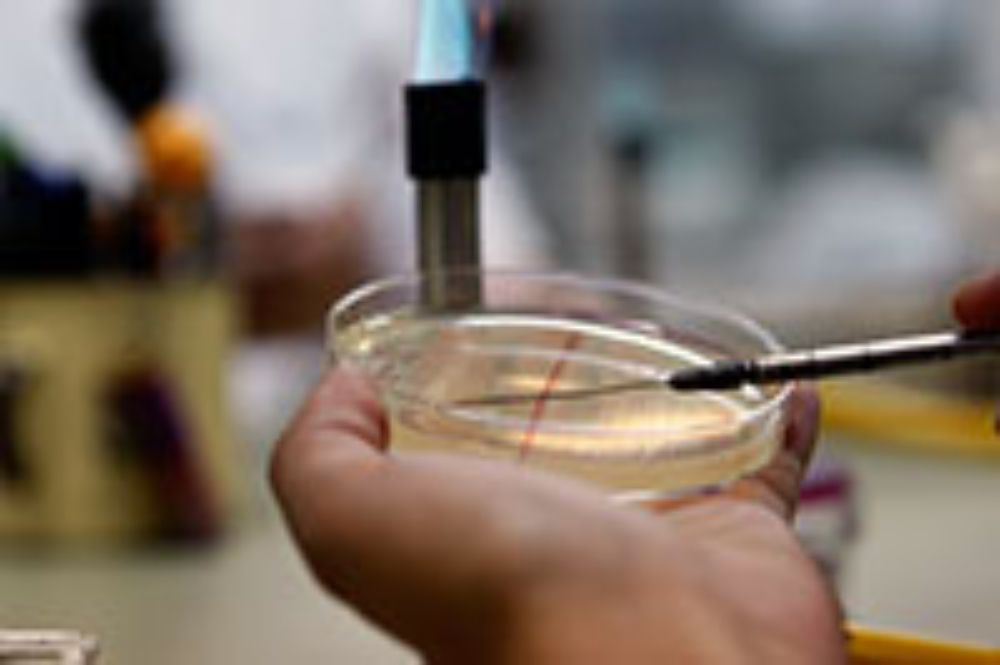 Ciencias, internacionalización, doctorado, investigación