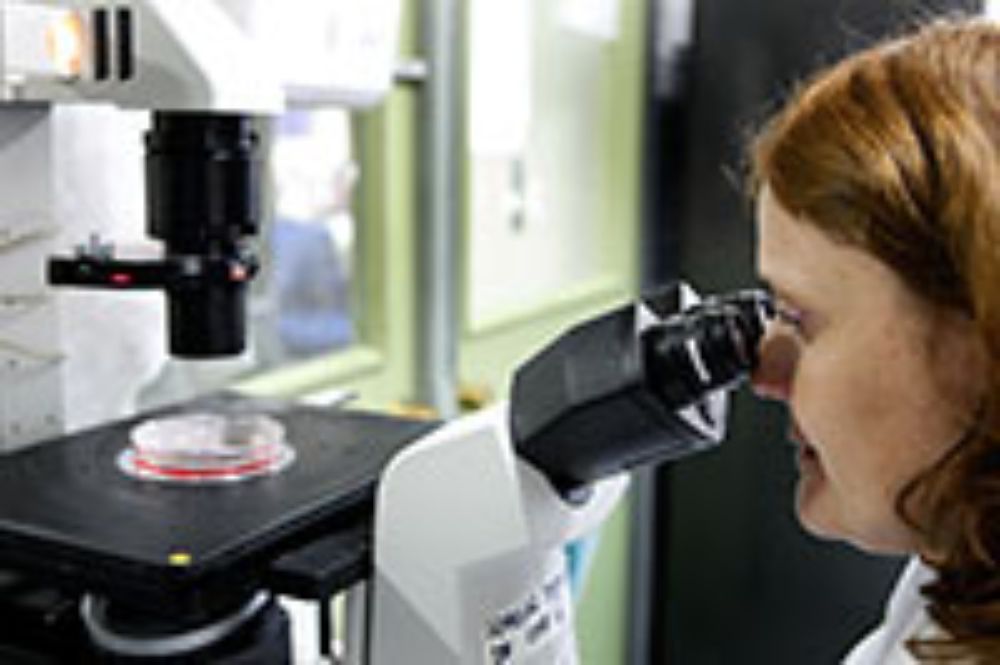 Ciencias, internacionalización, doctorado, investigación