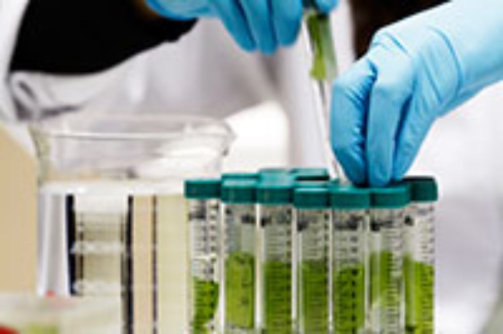 Ciencias, internacionalización, doctorado, investigación