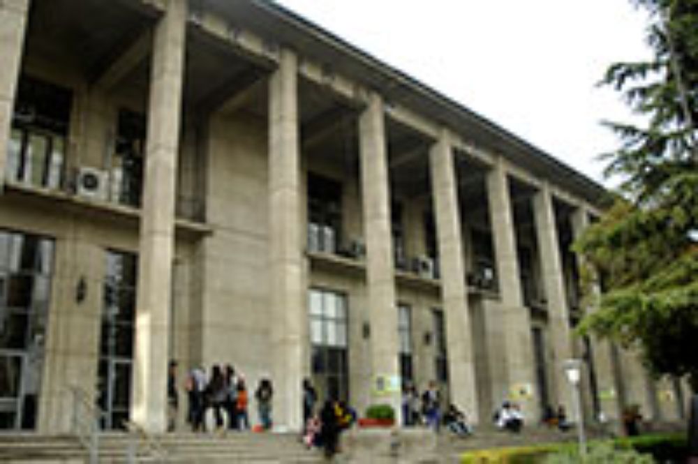 Medicina, internacional, doctorado, investigación