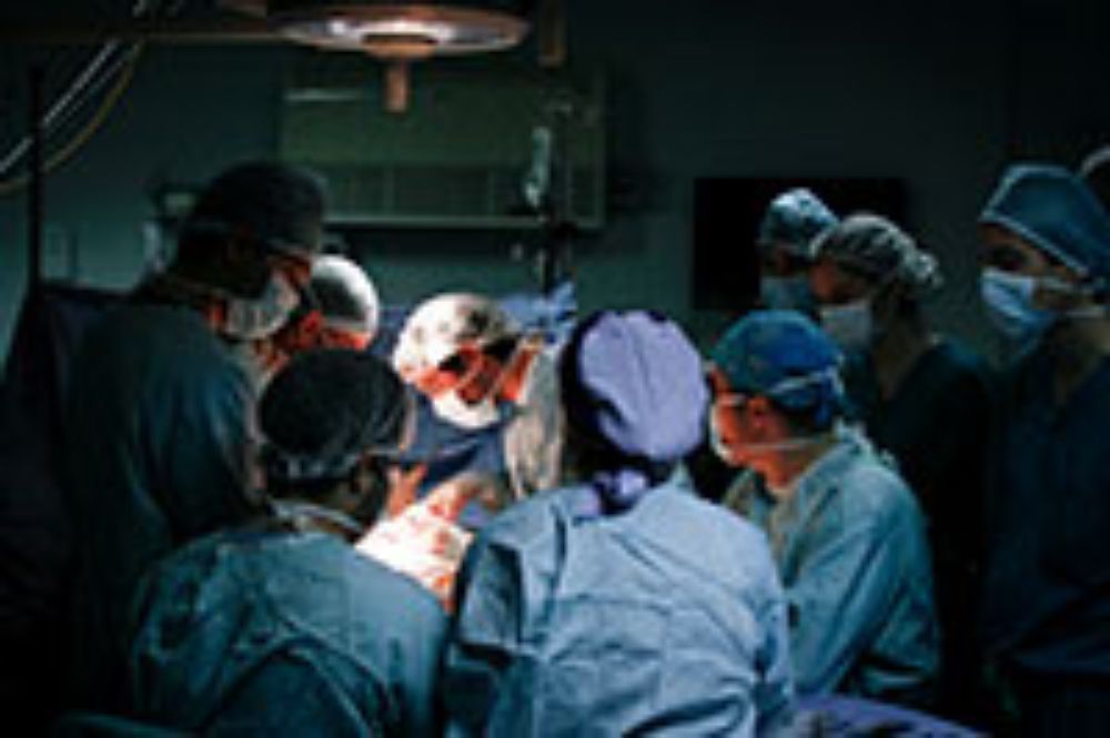 Medicina, internacional, doctorado, investigación