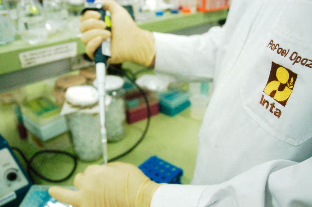 INTA, Nutrición, Alimentos, investigación, doctorado, internacional