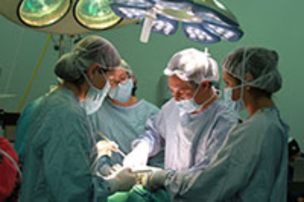 Internacionalización, doctorado, investigación