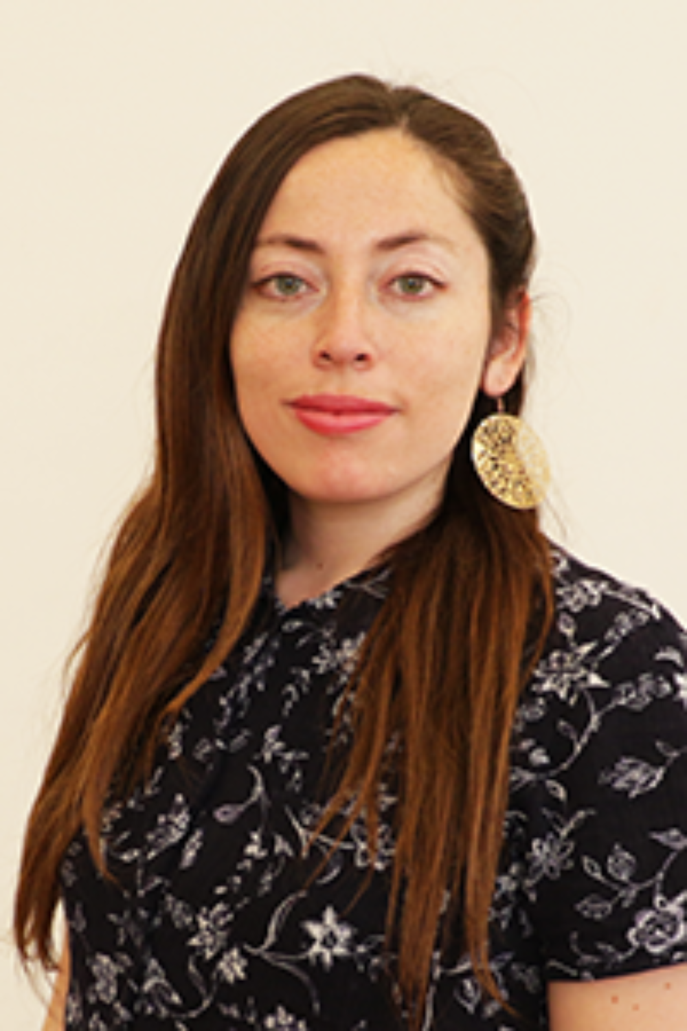 Senadora Universitaria Millaray Huaquimilla.