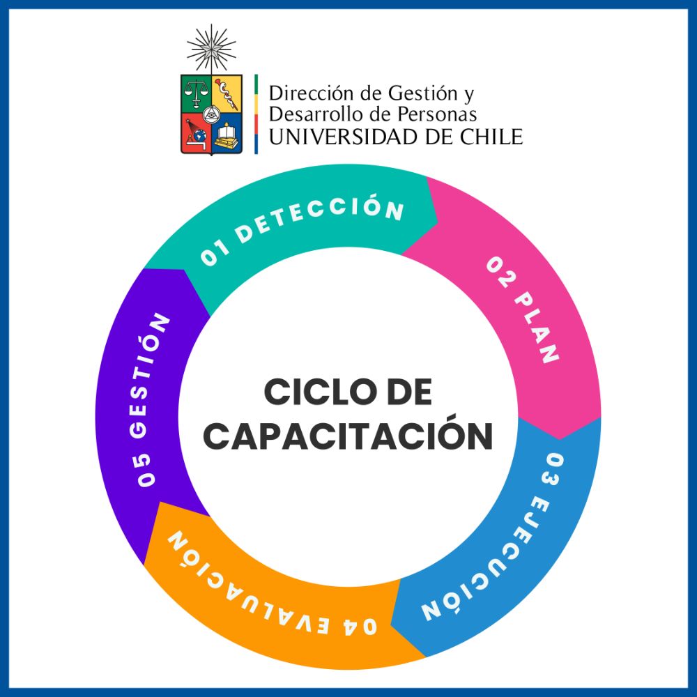 Ciclo de la capacitación