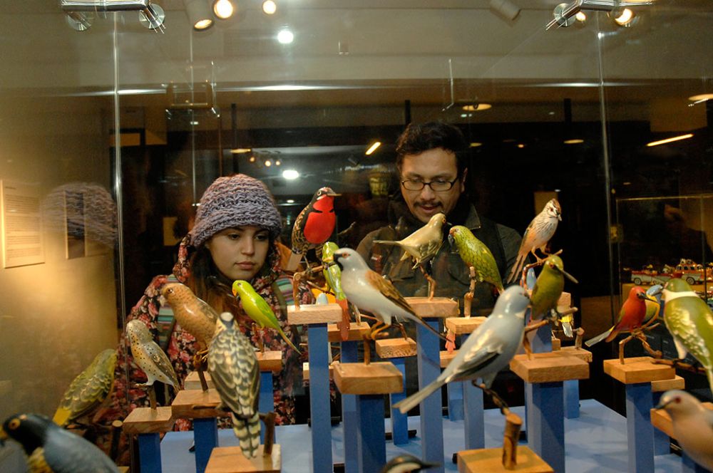 Artistic and cultural activities