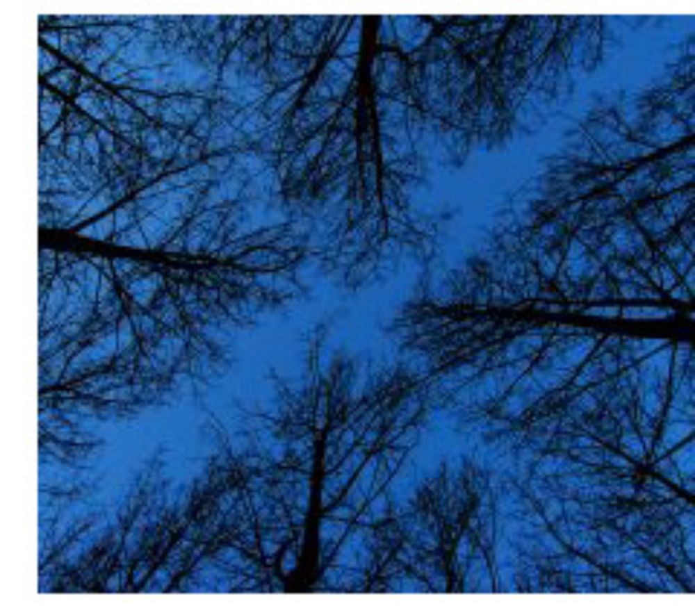 Contexto Gestión Medioambiental