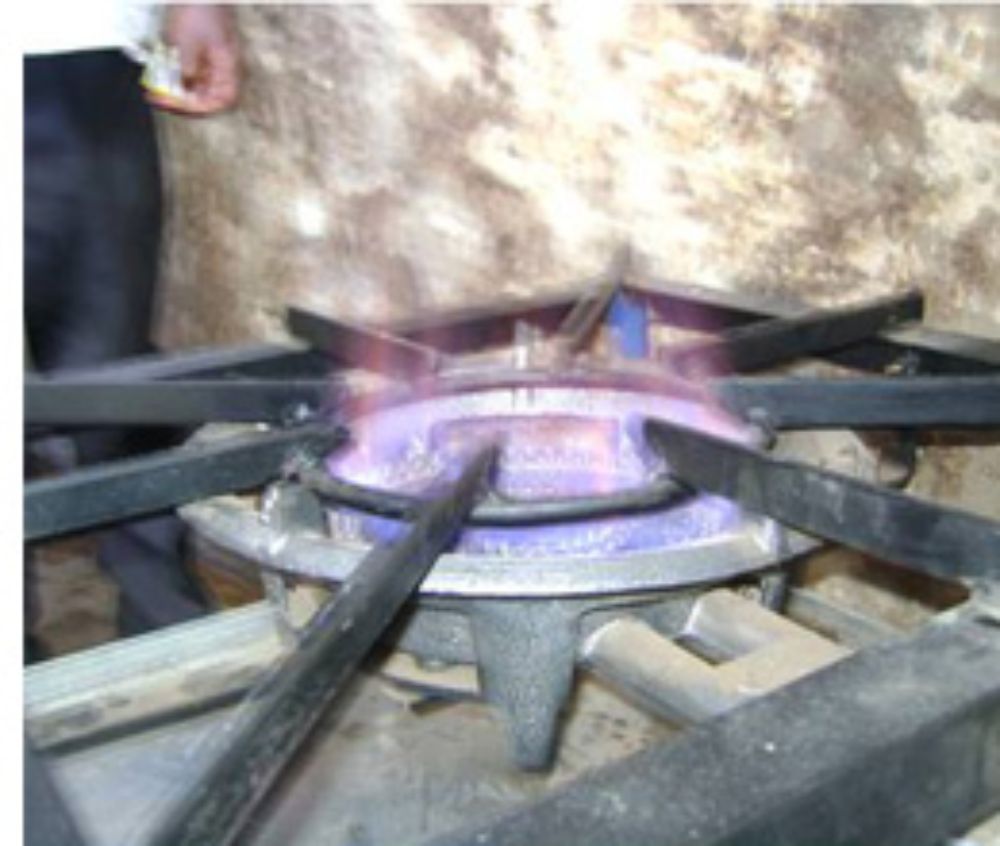 Producción de Biogás