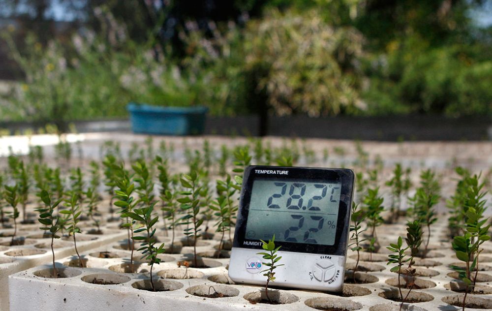 Ciencias de la tierra y riesgos naturales