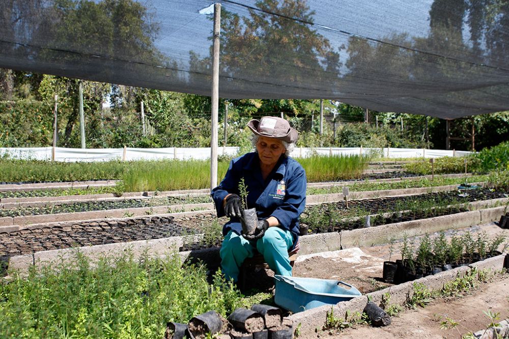 Ciencias silvoagropecuarias