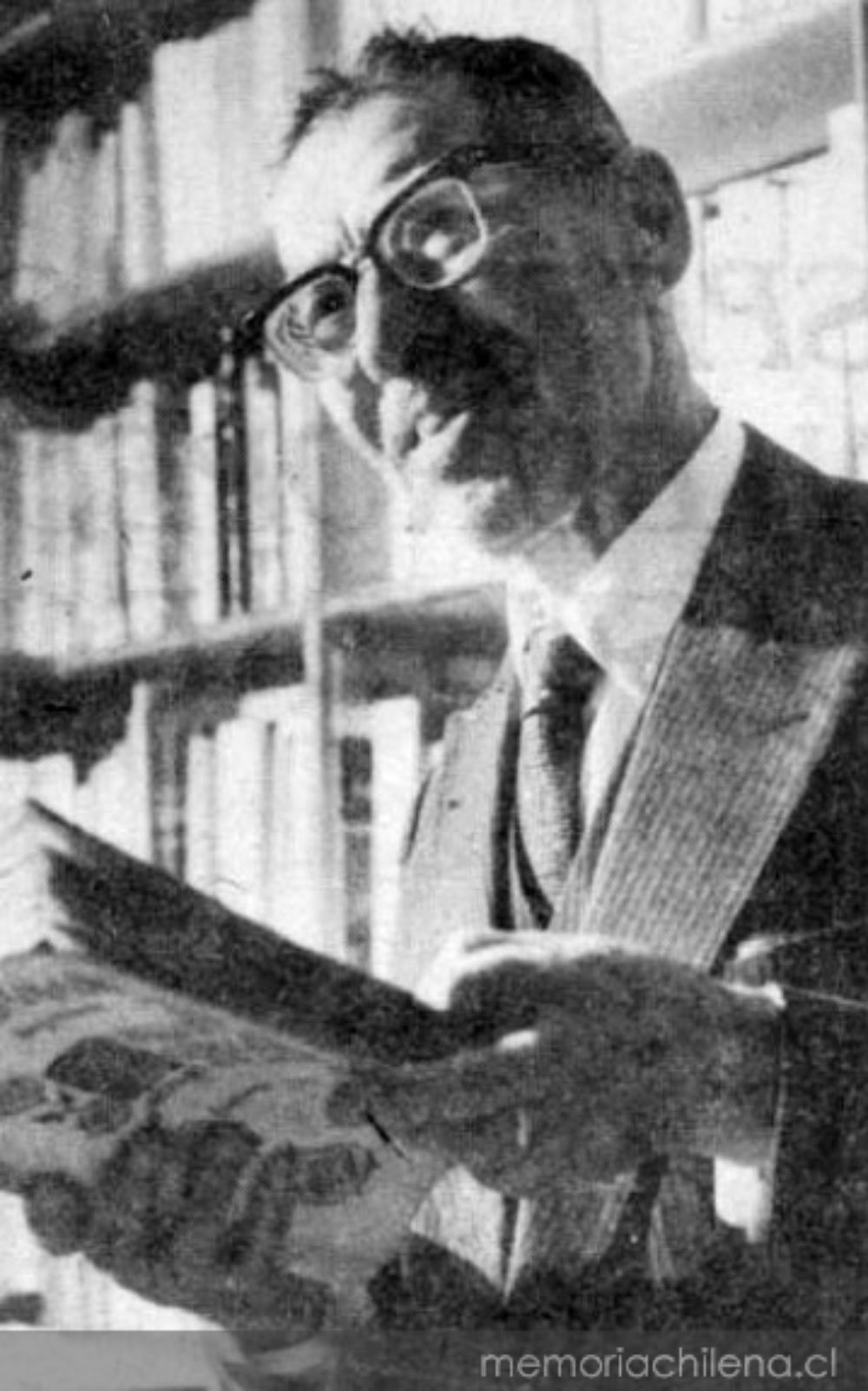 Nestor Meza Villalobos