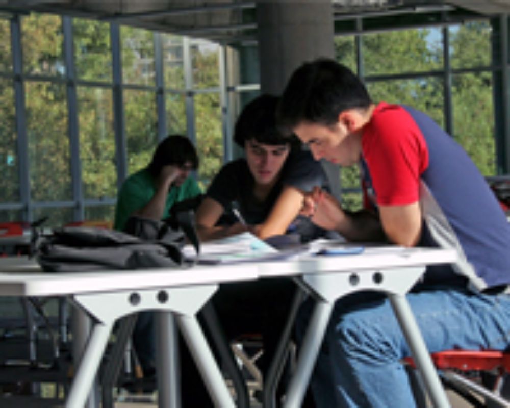  Vicerrectoría de Asuntos Académicos