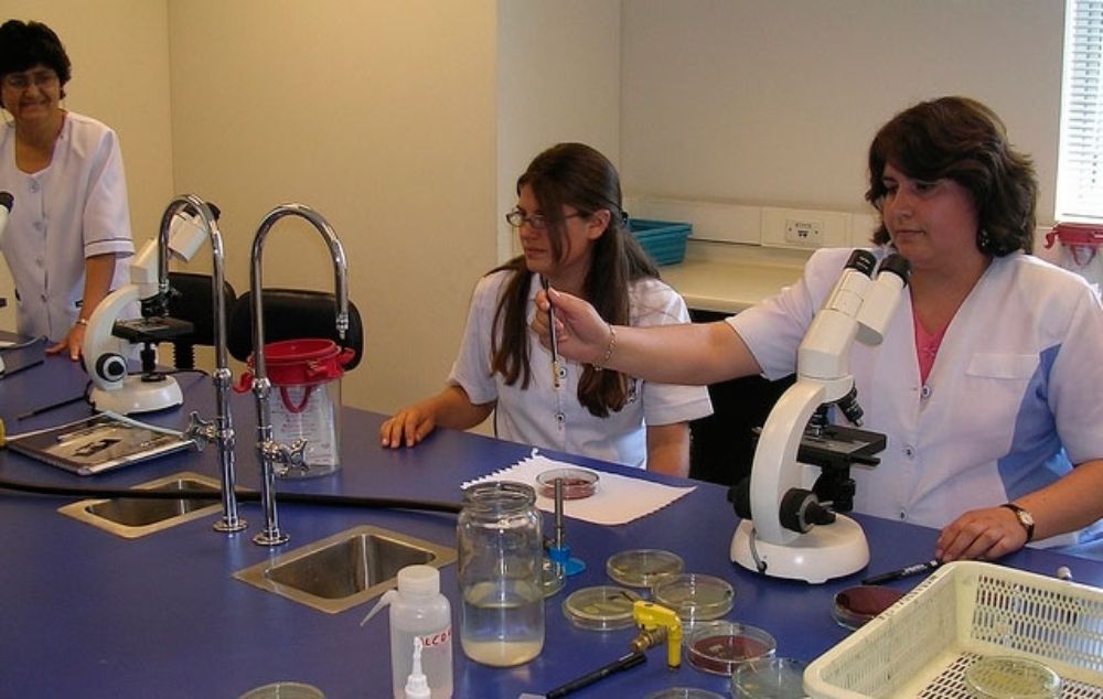 Pesquisas científicas e tecnológicas Universidad de Chile