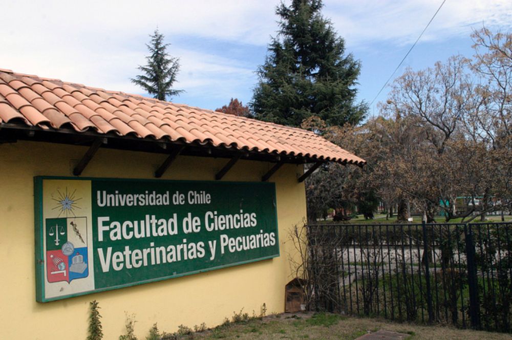 Faculdade de Ciências Veterinárias