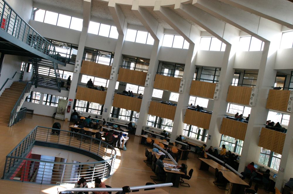 consejo universitario