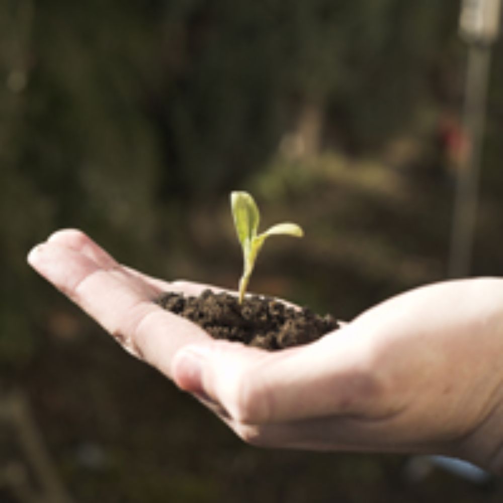 Programa Habilidades Institucionales