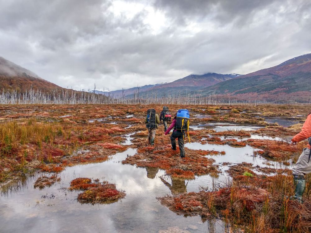 Doctorado en Ciencias Silvoagropecuarias y Veterinarias