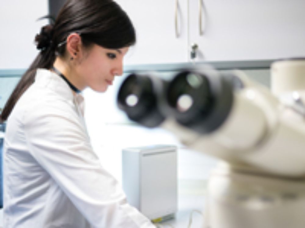 El nuevo Microscopio Electrónico de Barrido llegó en enero de este año y ya ha sido utilizado en el Depto. de Antropología.