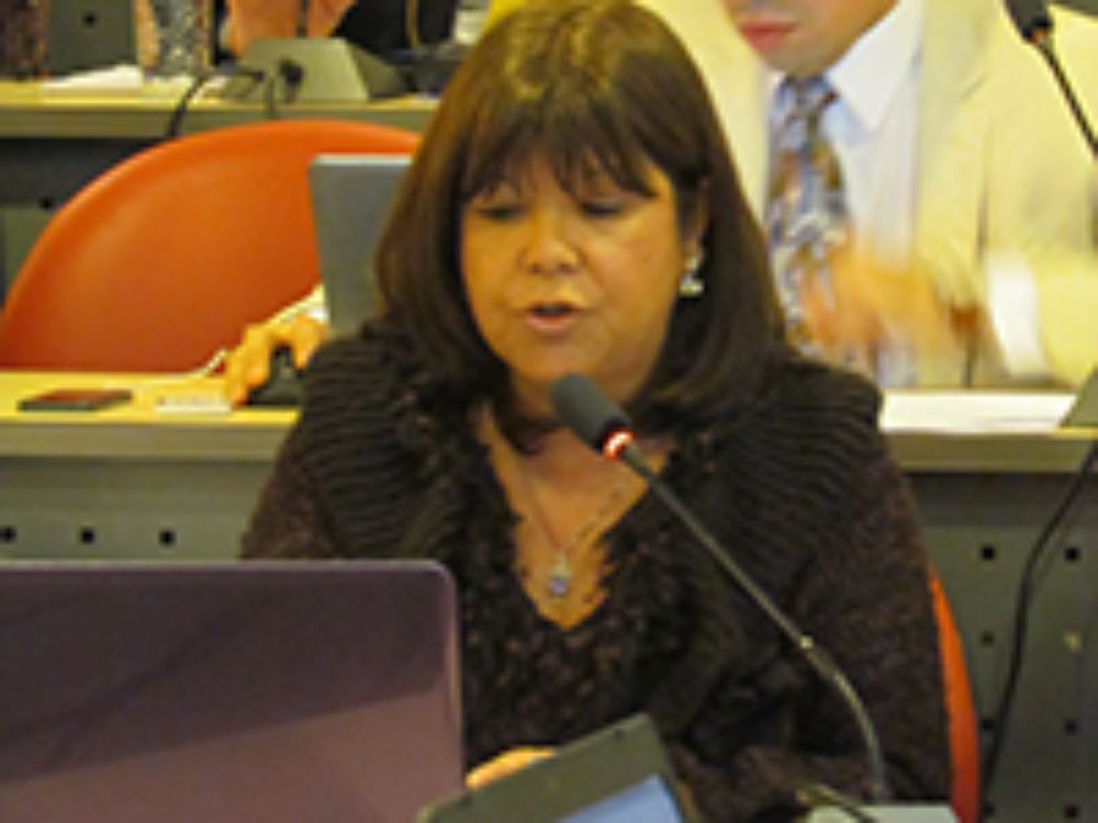 La Senadora Zulema de Barbieri, presidenta de la Comisión de Docencia del Senado, estuvo a cargo de presentar ambos proyectos pedagógicos ante la Plenaria. 