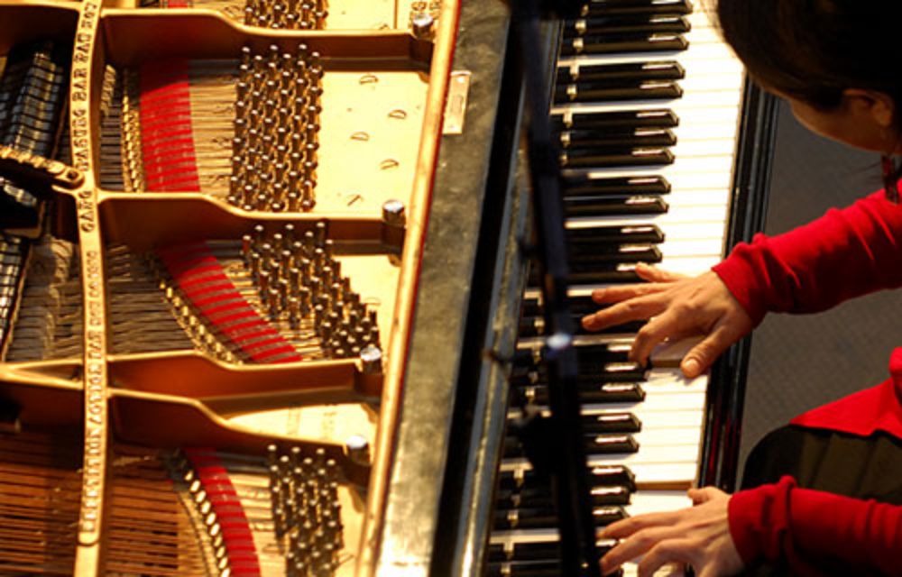 "Re significación de la estética de la obra de Violeta Parra en el Chile actual" es el nombre del proyecto sobre la cantautora chilena