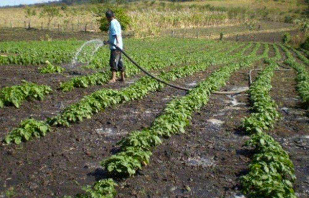 Chile sólo produce el 0,02% de los gases de efecto invernadero del planeta, pero las consecuencias se aprecian respecto al cambio climático a partir de sequías y el aumento de la temperatura. 
