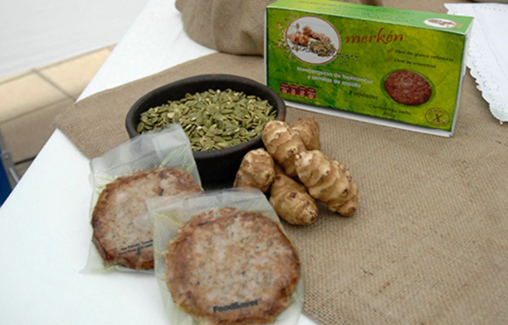 Estudiantes de quinto año de la carrera de Ingeniería en Alimentos de la U. de Chile participaron de esta actividad.