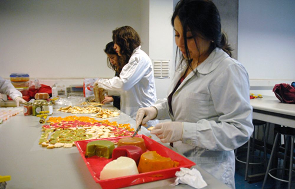 Estudiantes, académicos y funcionarios fueron invitados a degustar los productos de la Expoferia 2015.