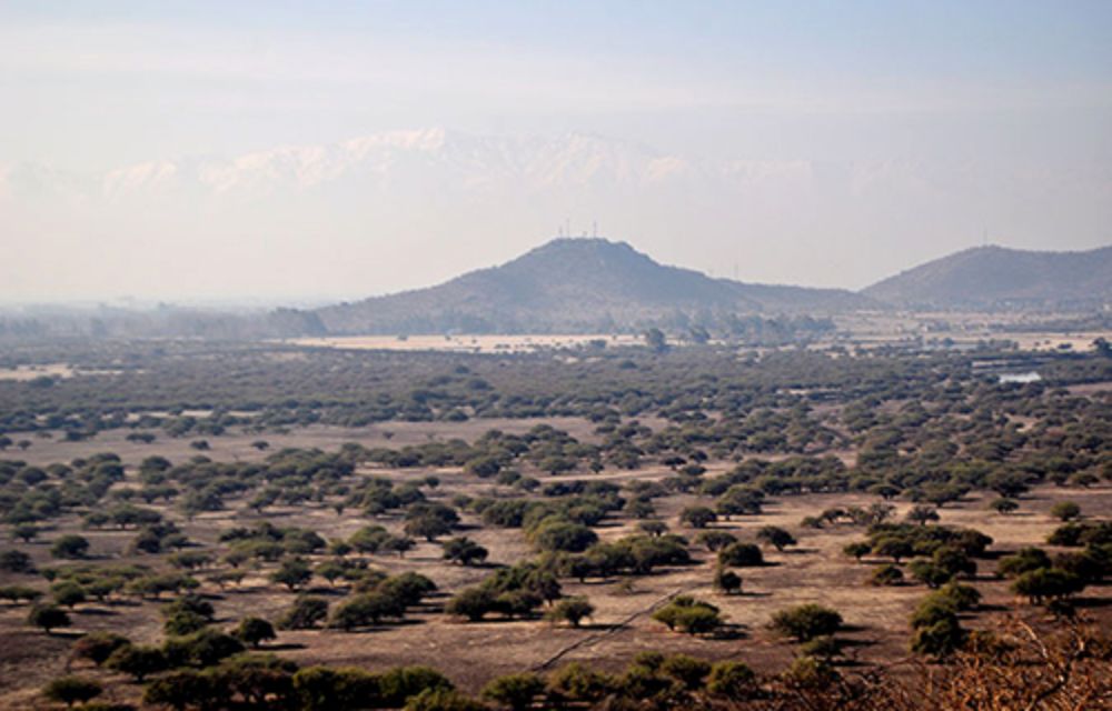 El Vicerrector de Investigación y Desarrollo Flavio Salazar, aseguró que este proyecto es uno de los más importantes que se ha planteado la Universidad de Chile en los últimos 20 años.