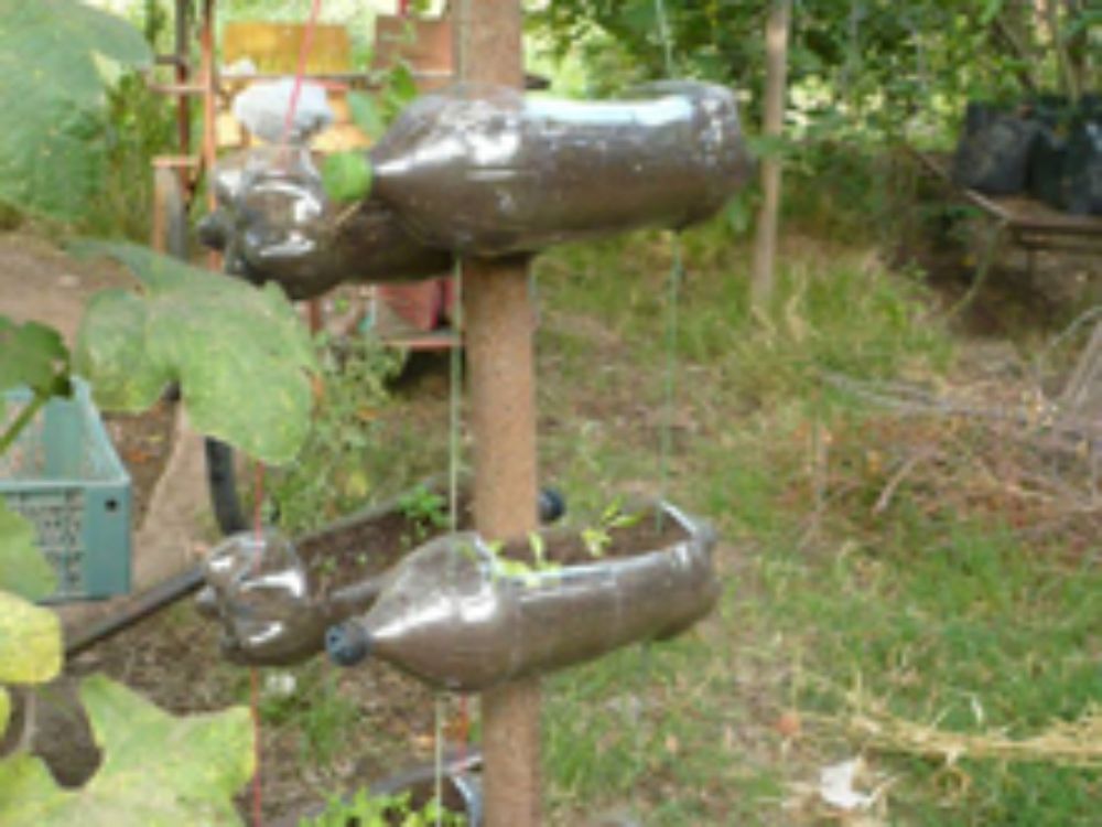 Se realizaron diversos huertos demostrativos, en la imagen huertos verticales en botellas plásticas.
