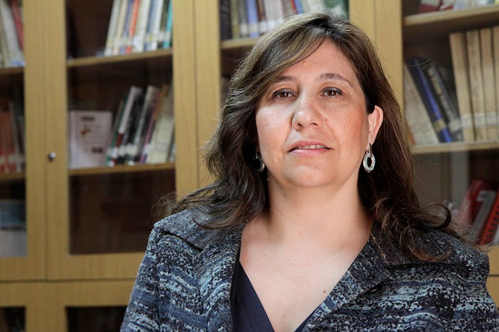 La académica del IEI de la U. de Chile, Paz Milet.
