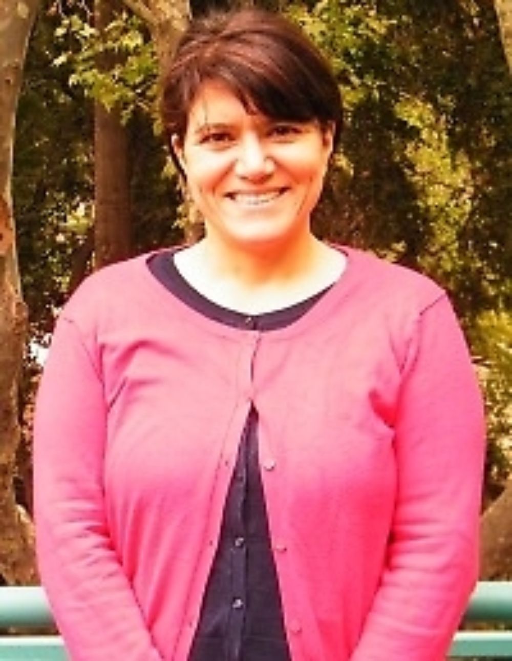 Paola Jirón plantea la pregunta respecto a que si "el rol del Ministerio sería promover el transporte o las soluciones privadas, o mejorar las condiciones de movilidad de toda la población".