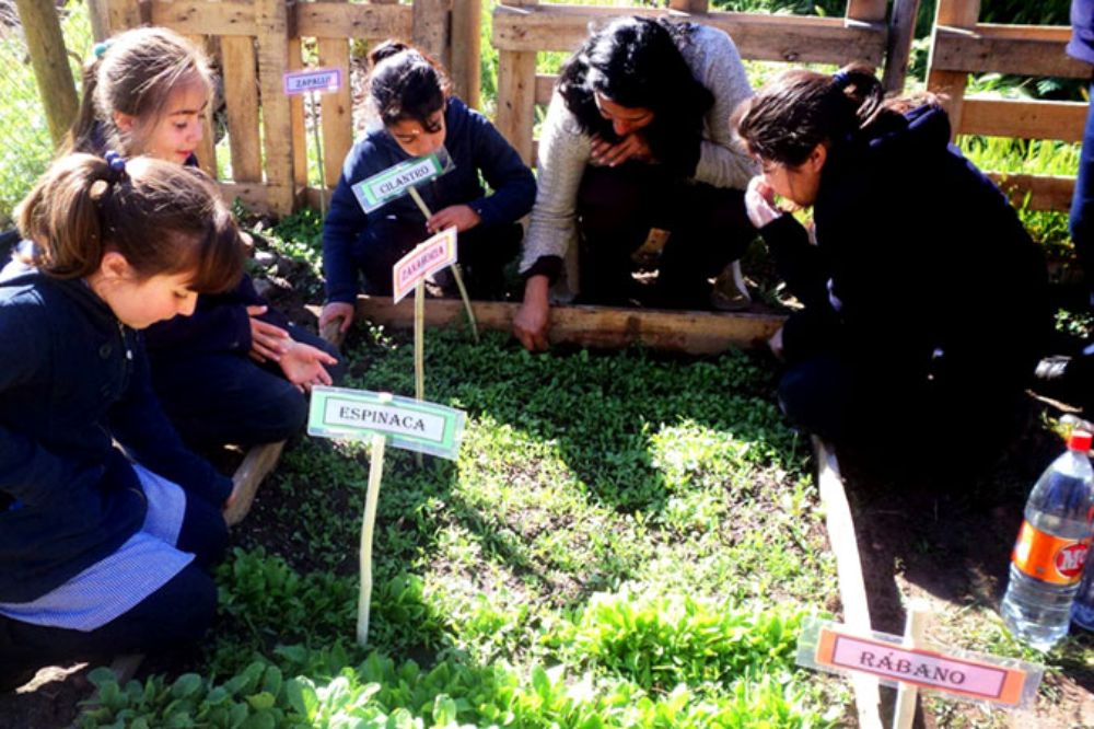 Enseñanza medio ambiental y alimentación saludable serán parte de la discusión que se dará en el Seminario Escuela Huerto: Educación Pública por la Tierra y la Comida Sana.