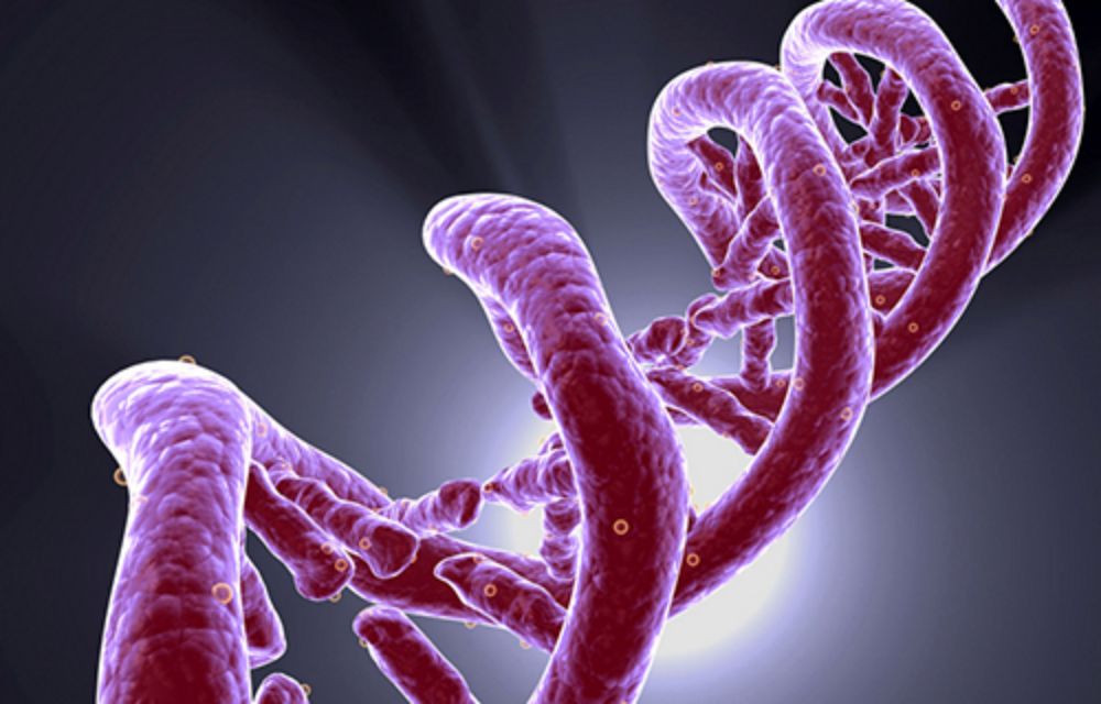 Adentrarse en la variabilidad genética existente grupos indígenas de nuestro país es uno de los objetivos del trabajo que realiza el Programa de Genética Humana del ICBM.