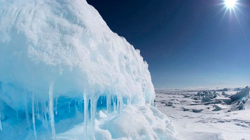 Se busca contar con mecanismos de seguimiento para que cada Estado informe los avances en la aplicación de los acuerdos sobre medioambiente.