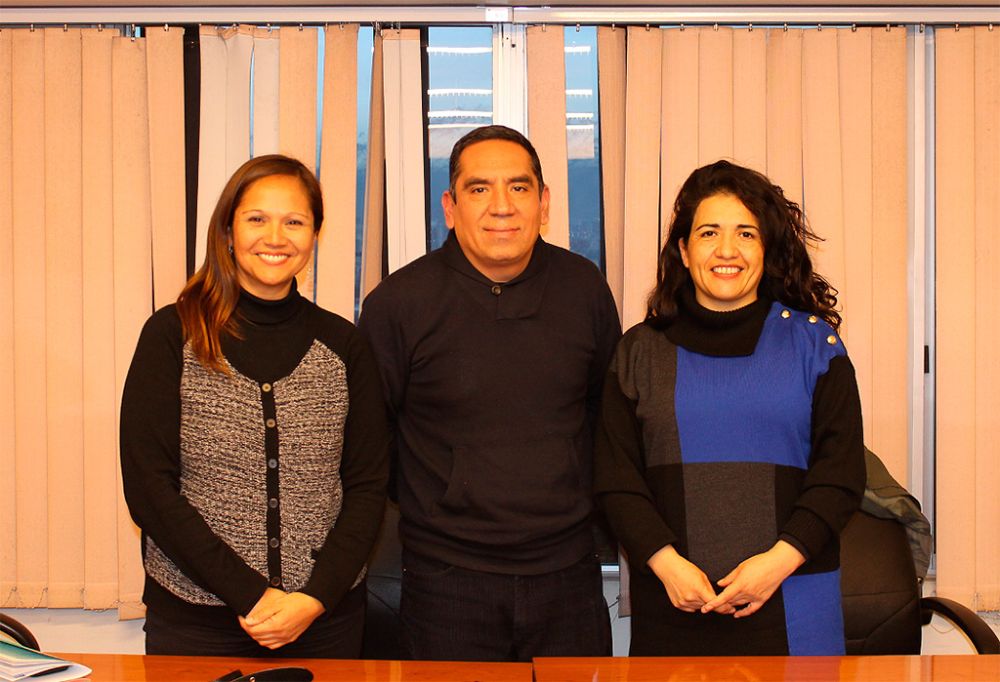 Profesores: Verónica Figueroa Huencho, Claudio Millacura Salas y Maribel Mora Curriao
