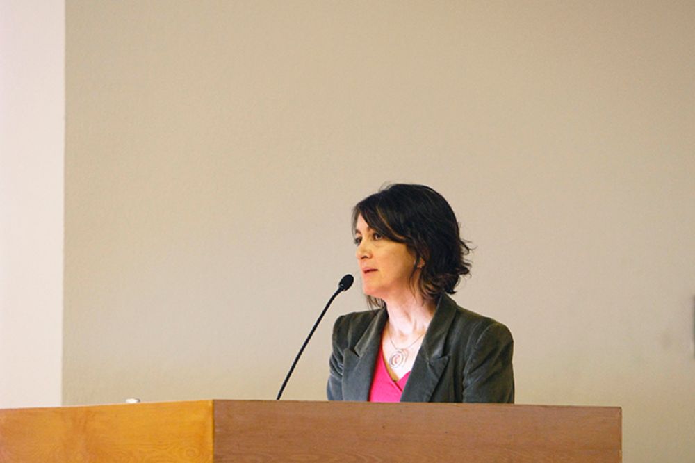 "Masificación y democratización del sistema no es lo mismo", explicó Pamela Díaz-Romero.