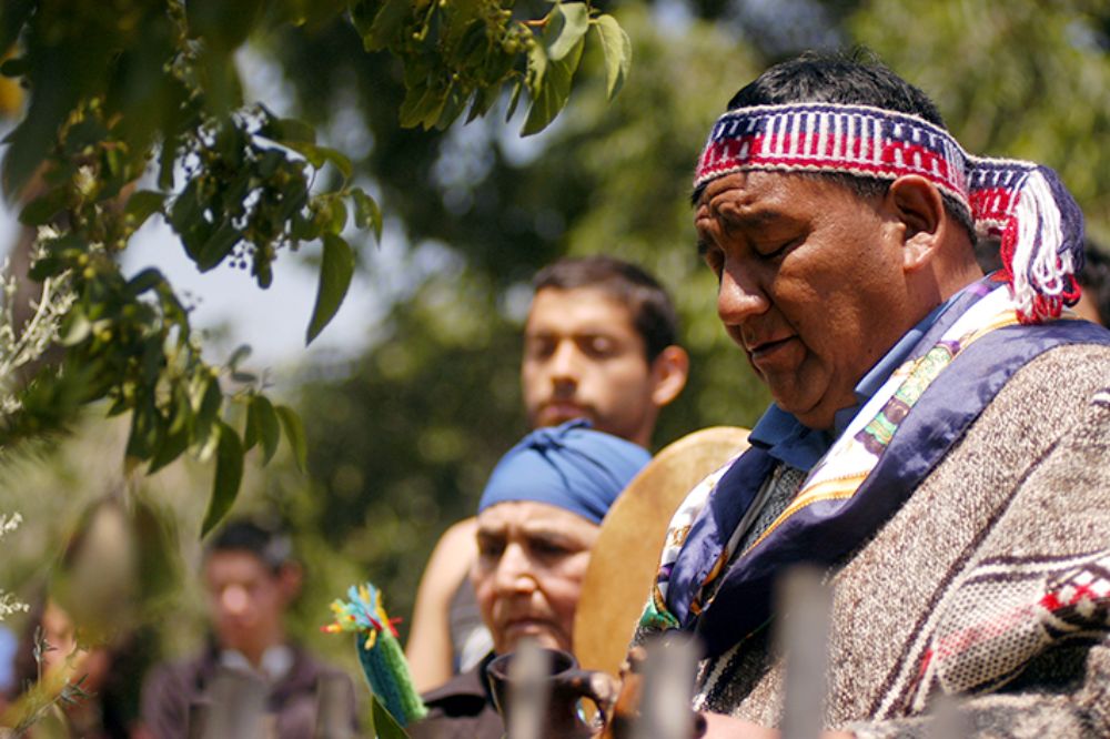 La demanda de plurinacionalidad apunta a cambiar el actual paradigma del país, abandonando la idea de que existe una población homogénea.