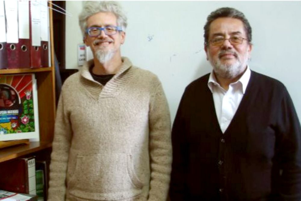 El trabajo lo están realizando los profesores Sergio Floody y Luis Núñez.