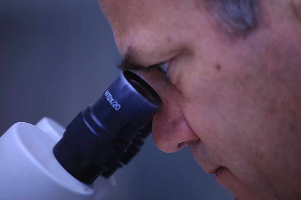 Por cuarto año consecutivo la U. de Chile lideró los resultados del VI Concurso de Investigación Tecnológica FONDEF, que busca impactar socioeconómicamente al país con innovaciones científicas.