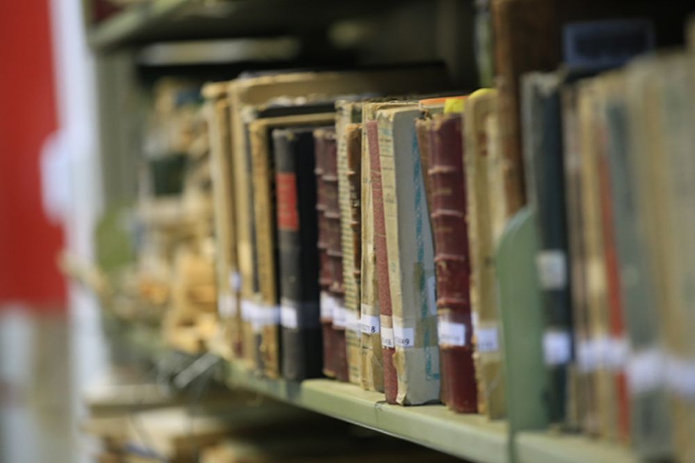 Entre los desafíos 2018, la VID buscará la sustentabilidad presupuestaria para cubrir los gastos basales de la innovación institucional, sin depender exclusivamente de fondos externos transitorios. 